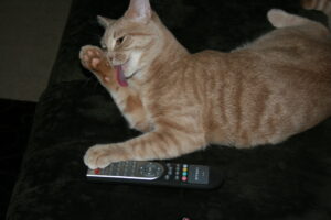 Let's watch Heros now!!